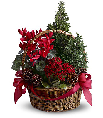 Tannenbaum Basket